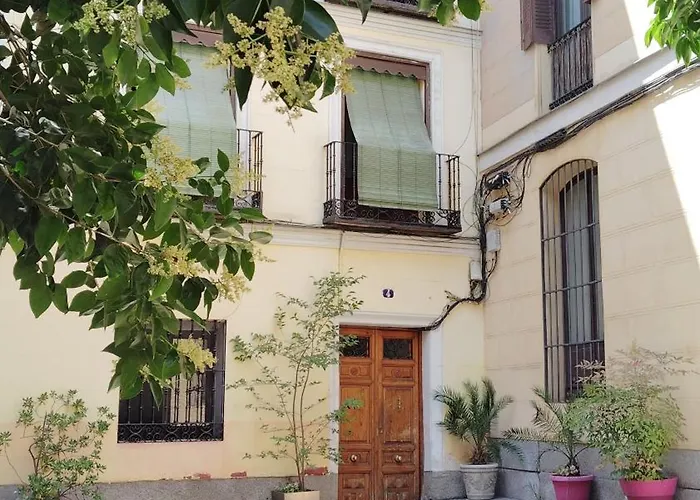 Céntrico apartamento con patio